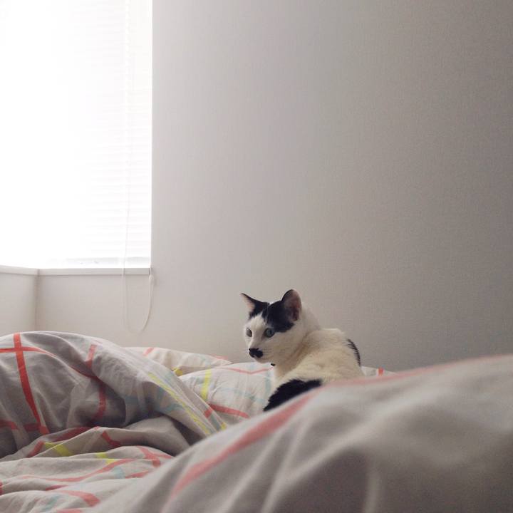 7f03b704 38f3 4714 9e2e 1b9202a0dbae