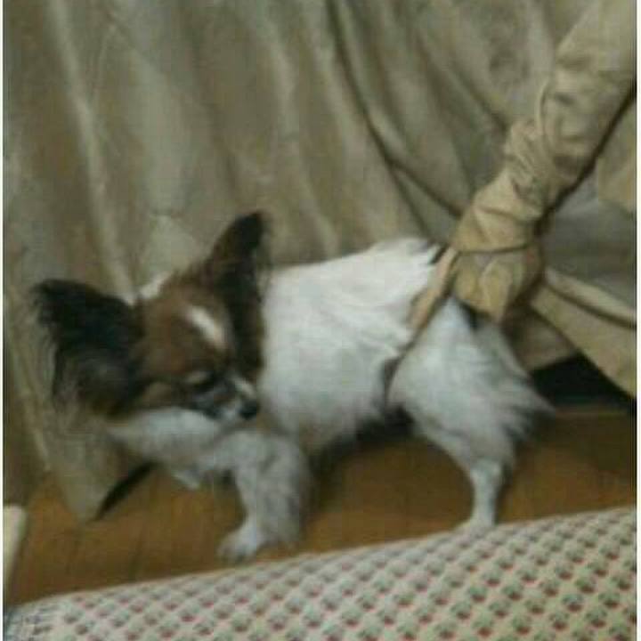 7f0489cd ae0e 4058 a1fe cdf3c2849d8a