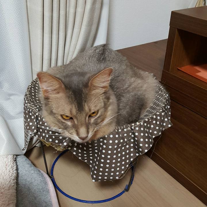 7f04e239 ed63 47a2 9929 941eed41925d