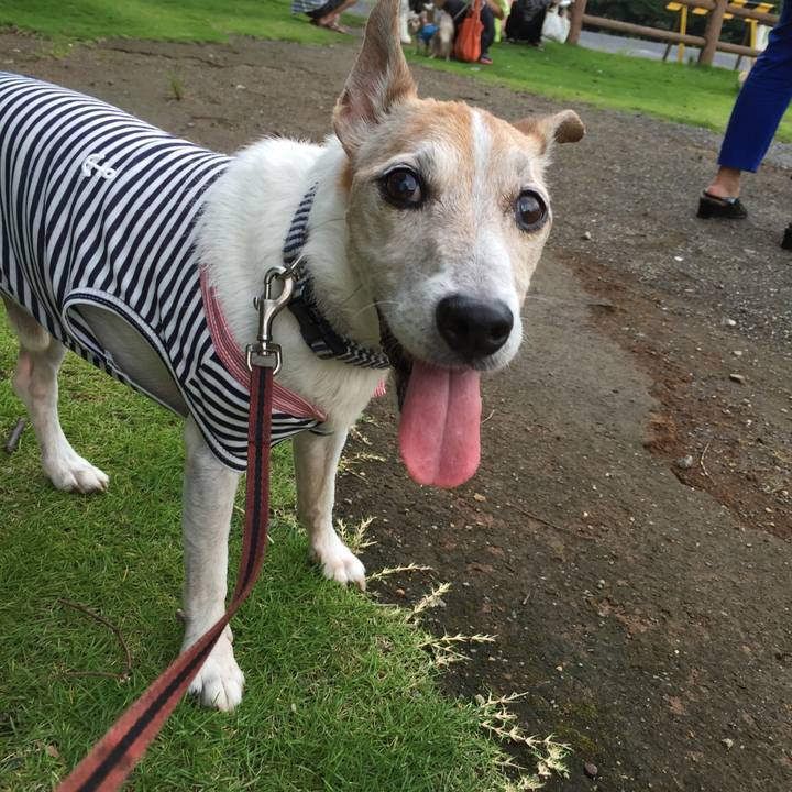 7f051b84 eb5b 4f87 80c5 17ea4ec18643