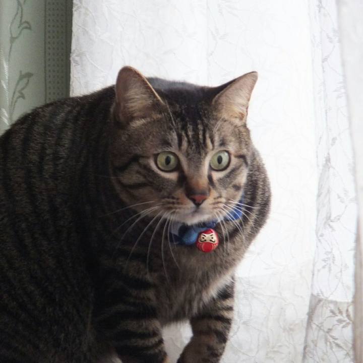 7f05de8f e172 4c07 8669 242e0d73f44e