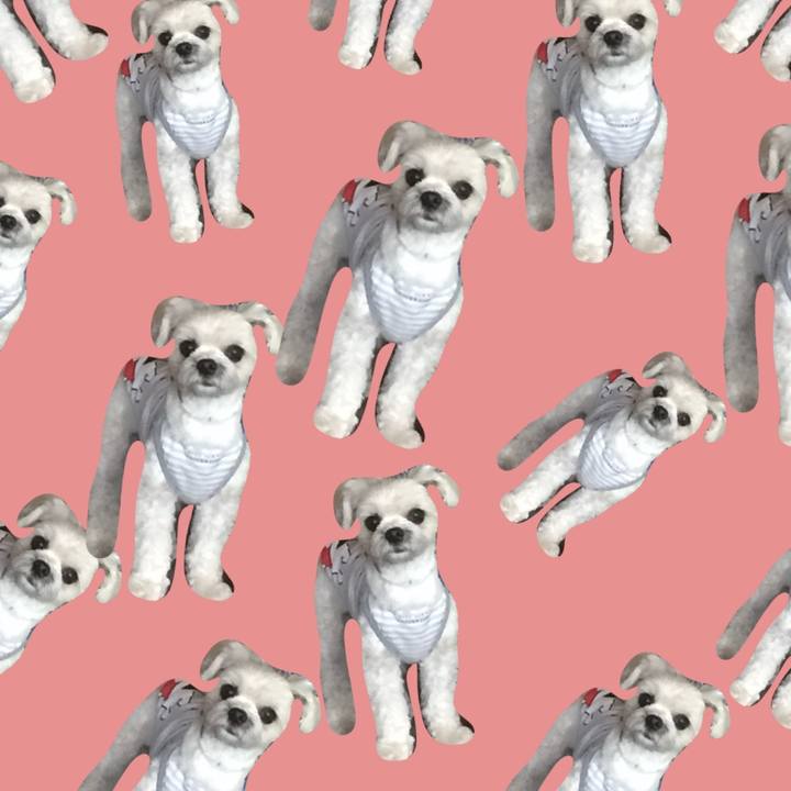 7f064959 2e5a 43cc 82eb 3ee567a30894