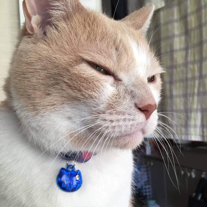 7f06652b 03af 4468 ba1e 23d28c19e9a1