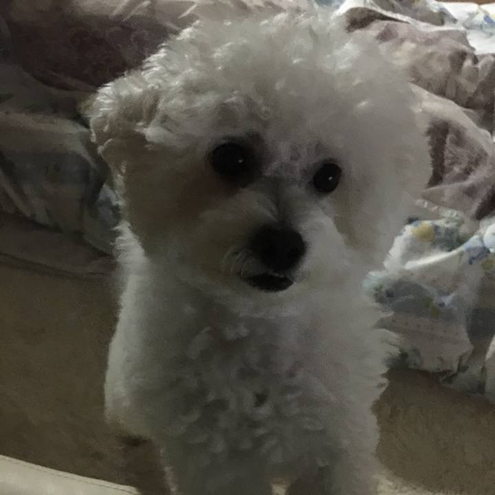 7f066987 f05b 434b b41a 836d461ff664