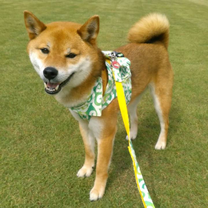 7f079aae 0d5d 4467 a89c e26c100e537a