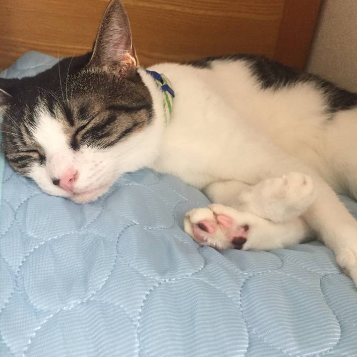 7f07adee 832c 43a9 80ab 0593133bf502