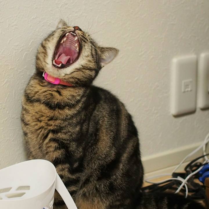 7f08cf41 f619 423e a52a b07ffca72b94