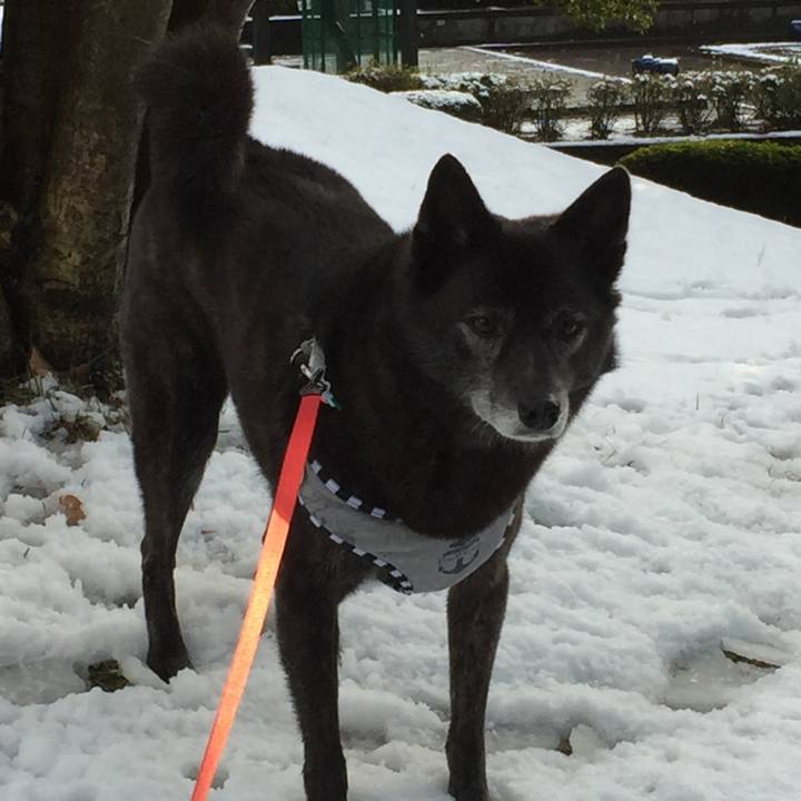 7f0955b3 6219 43b9 b385 069e9227e718