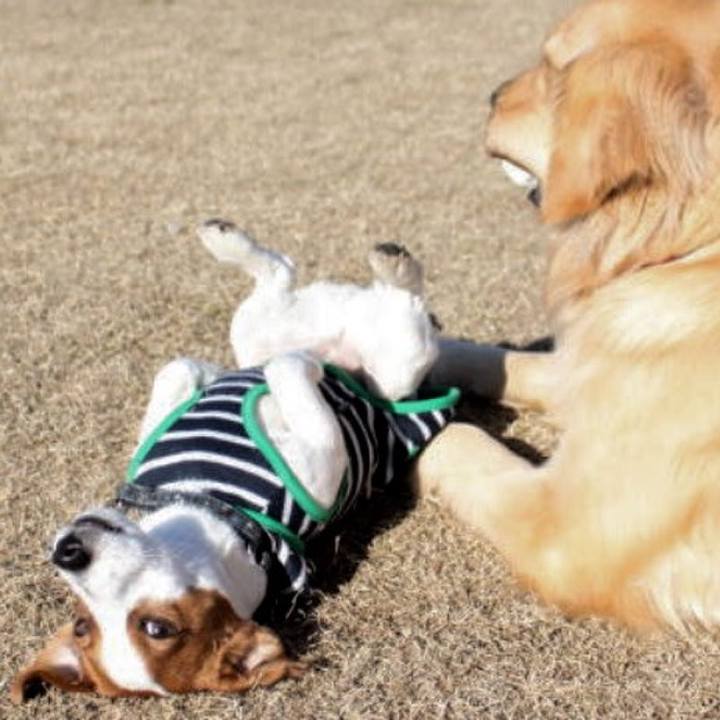 7f0957b8 36c4 4c5b 8f7c 68adf62861a1