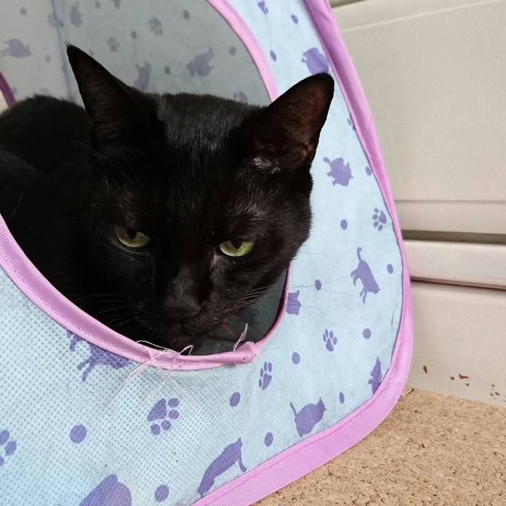 7f0a285e c06c 417c b703 8de0339f08eb