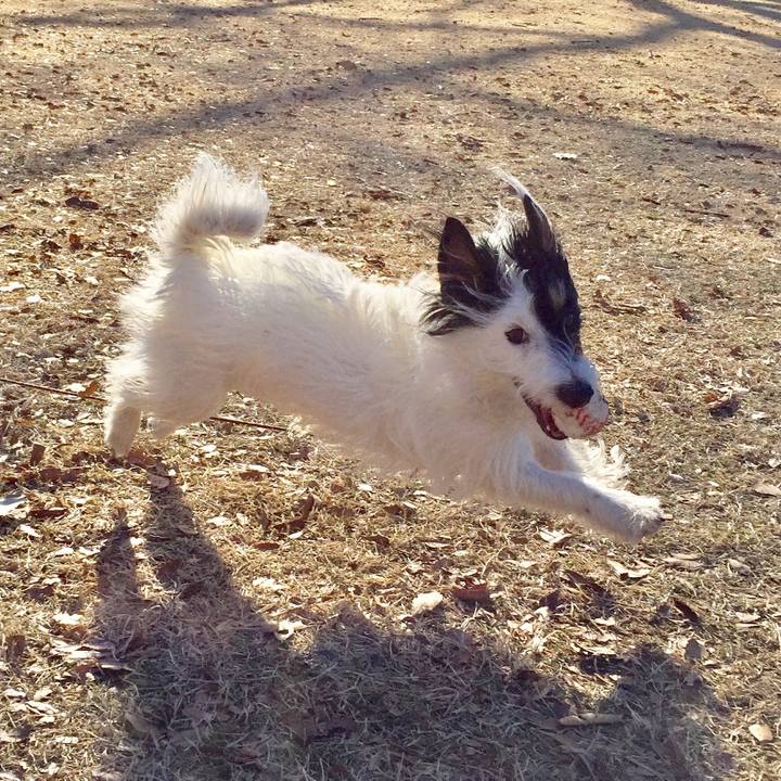 7f0a50f8 ba58 4545 a4dd e7f4849acc32