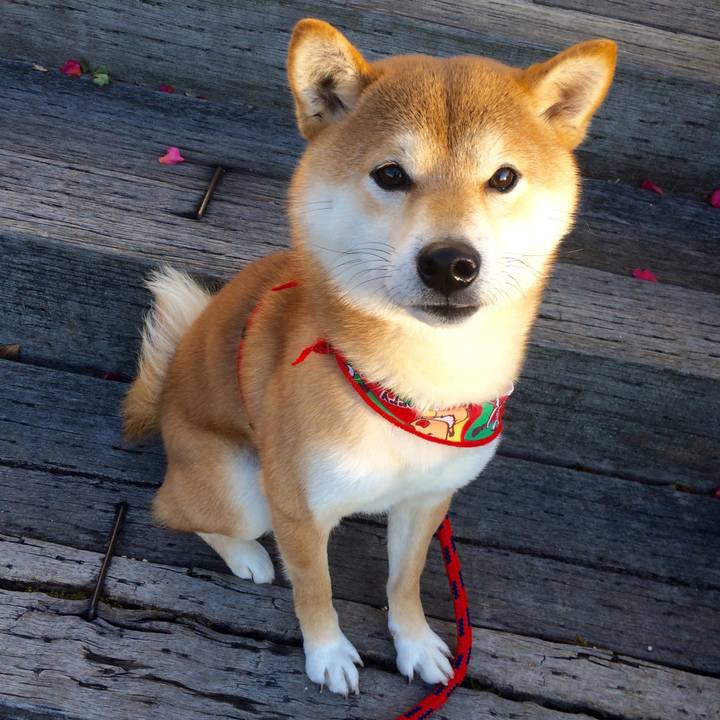 7f0afb24 6a9f 4c9b 95a8 e874896bda4a