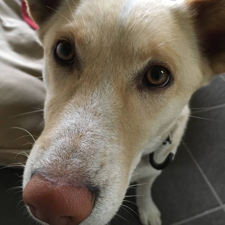 7f0c1c90 6c01 435b 9cd1 7afbb357a6ff