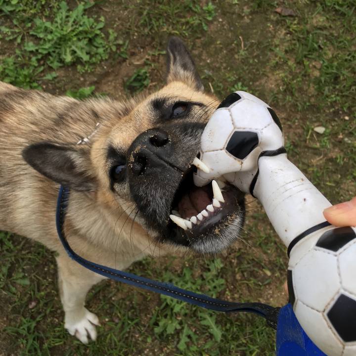 7f0c72f5 0a13 40d1 a452 f0a0e462013e