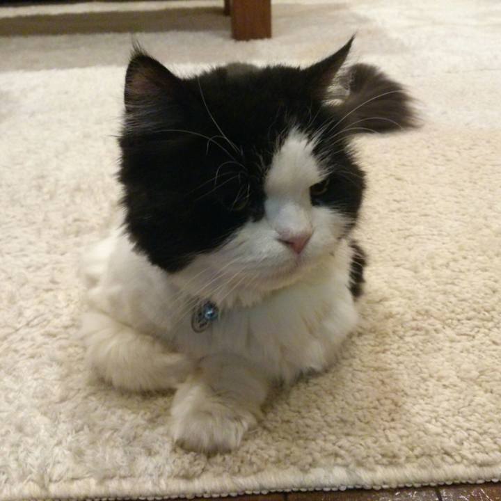 7f0d70b7 aee5 4e74 91bb fc2138417b36