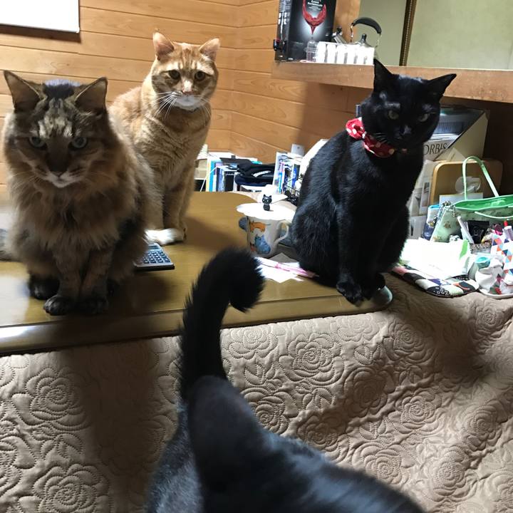 7f0d9968 bde8 4ea4 9f16 7559ae113237