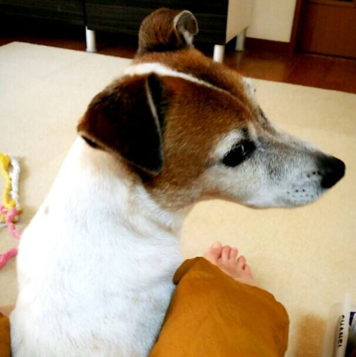 7f0de87a 43ec 4edd 8dbc 066b301be9a5