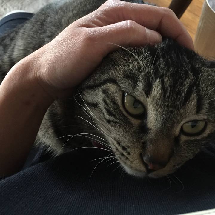 7f0e0827 5e57 4bd0 a870 23446e9f6e4c