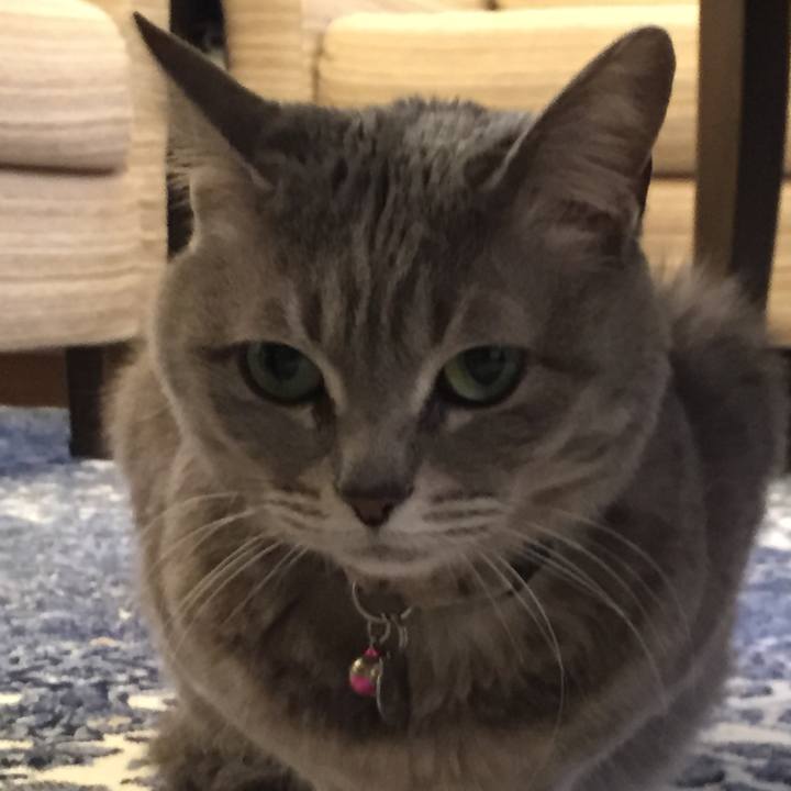 7f0e2972 6d44 4391 b32c 9b96a8caf1c1