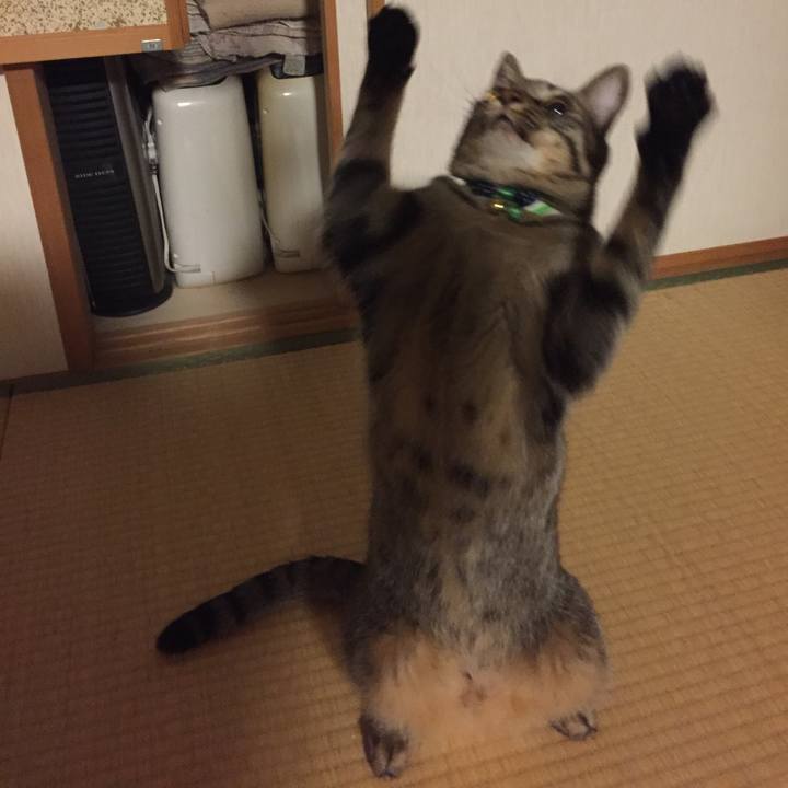 7f102ba7 d366 41ef bb9a ffef648acaae