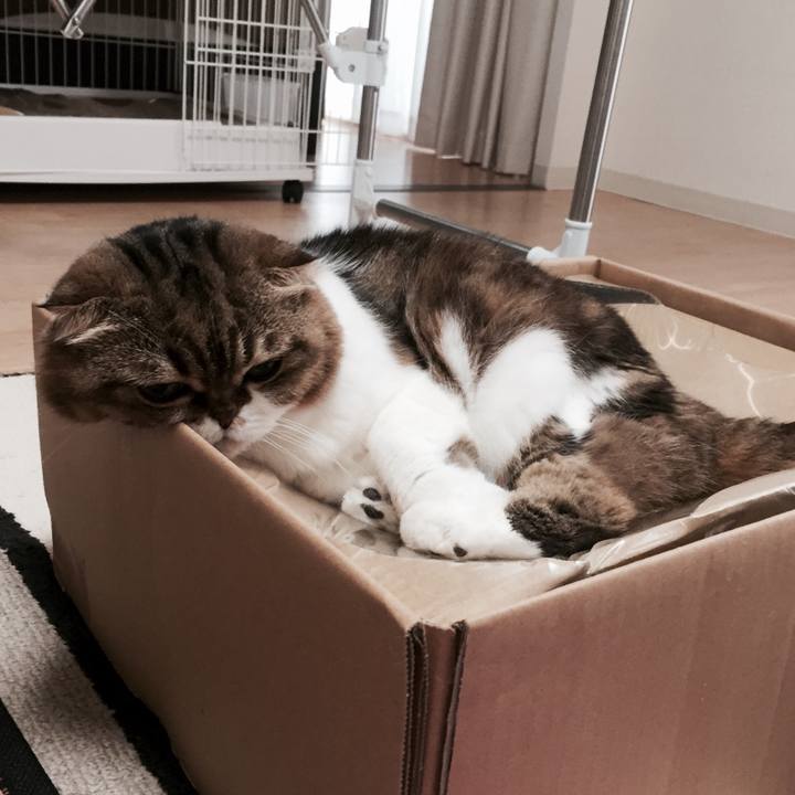 7f103998 5093 4ab6 ae1f 0627019da1f4