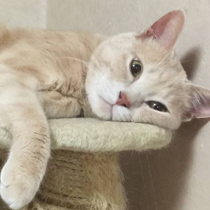 7f105d73 16fd 48cc 9c1c 6f18f609b1ba