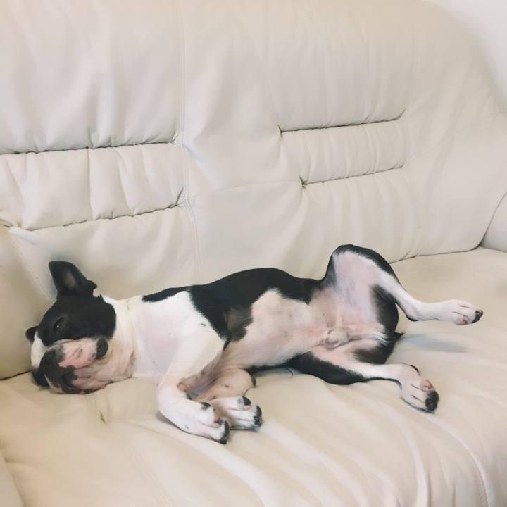 7f10fad4 72c0 4d10 8ffa 97c187f94673