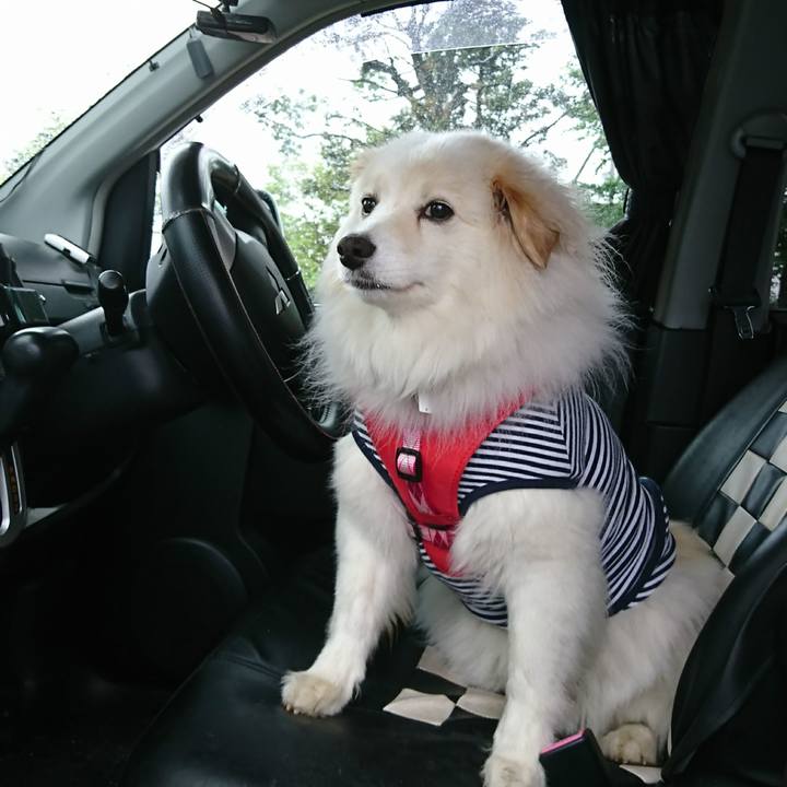 7f11be6b 0e37 4644 b7d0 73e4284e2839