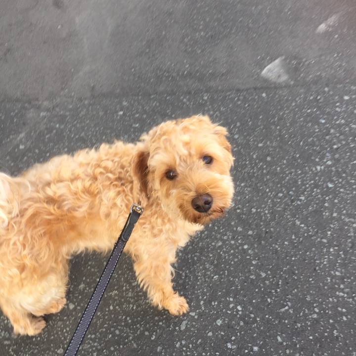 7f12344c 088b 430d a302 30141de7e694