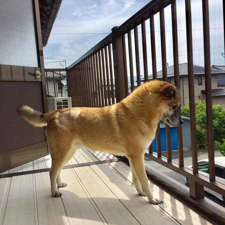 7f1262fa 848e 4af1 a2ab eefa23b53b76