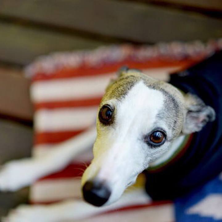 7f134f30 c48e 4f09 a477 948e020c20cc