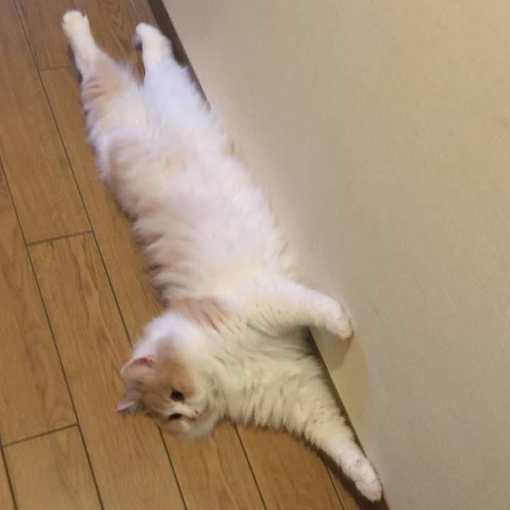 7f1362bc 1a0b 40c0 91f9 deba46cecaec