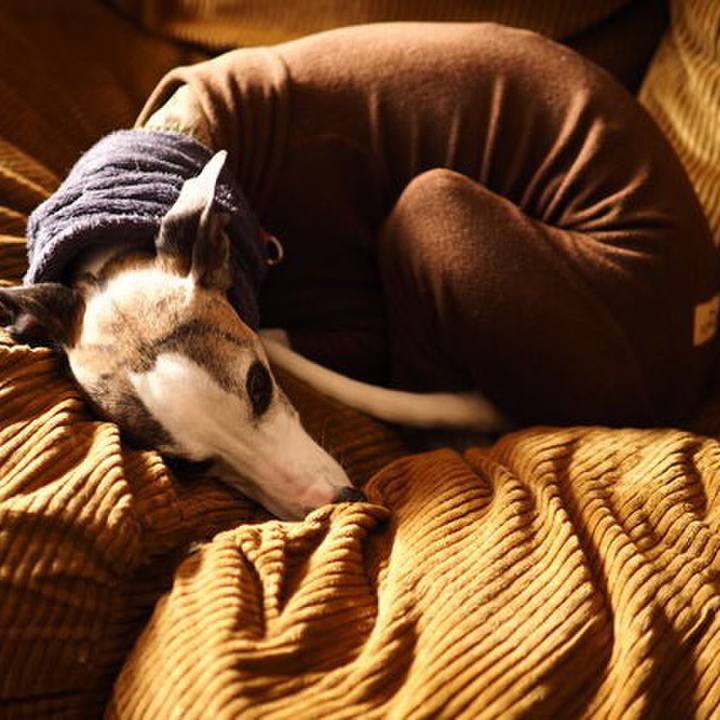 7f1375d7 1105 4877 aa29 144627e0e2b2