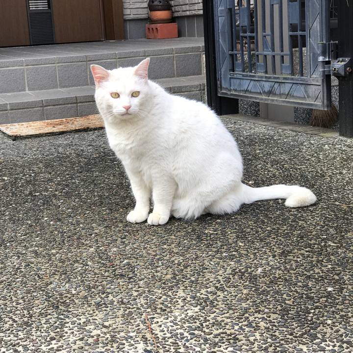 7f1390f3 4365 4eff a929 e4c920c4ad33