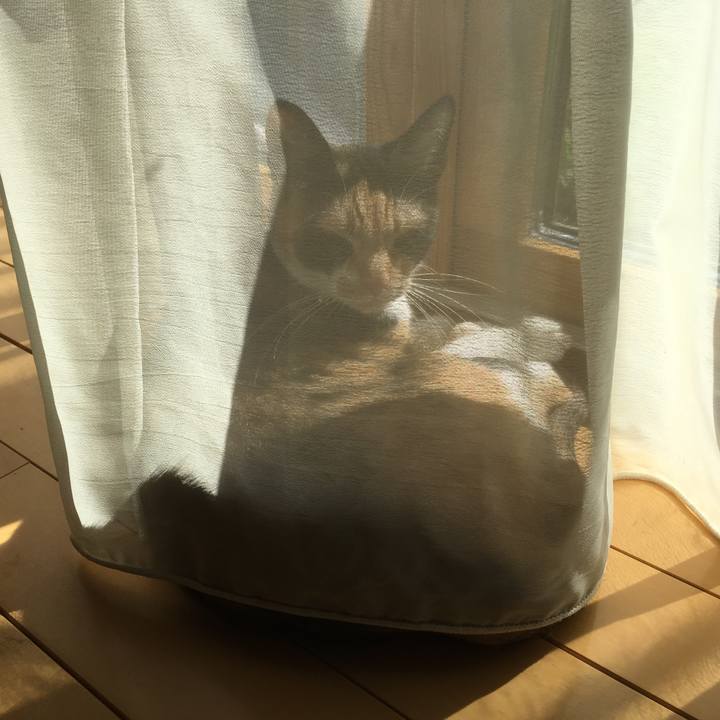 7f1505bc 2cf5 497e b49e a3c5678980c6