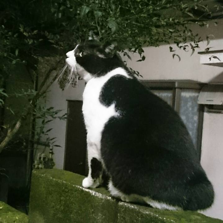 7f153cb2 4821 4891 95cb e7197b0177ea