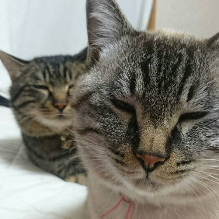 7f1540f2 ddc9 4180 a349 7e02c621b953