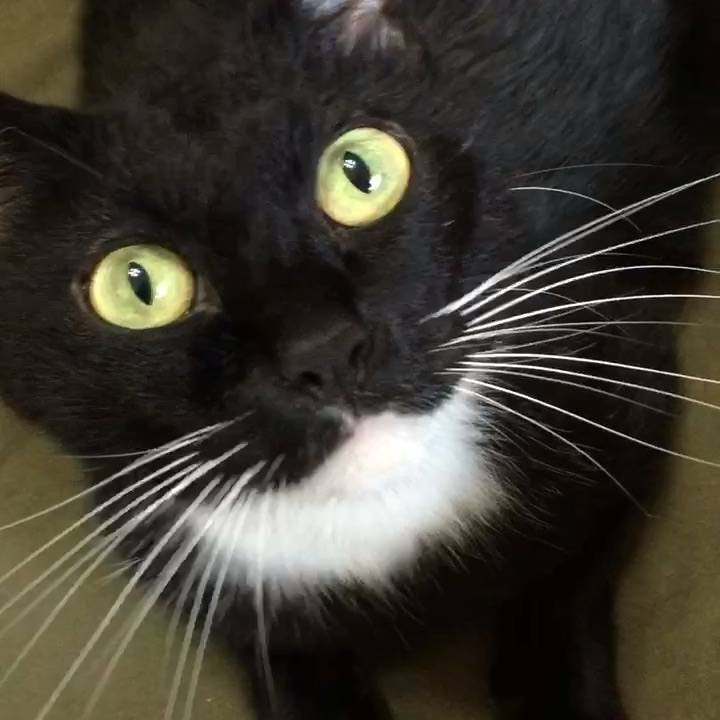 7f154c66 d1f6 4e97 bc89 0d6467834365