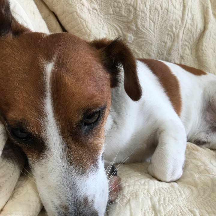 7f15894f 325d 4053 b322 b54fa3bb2ffc