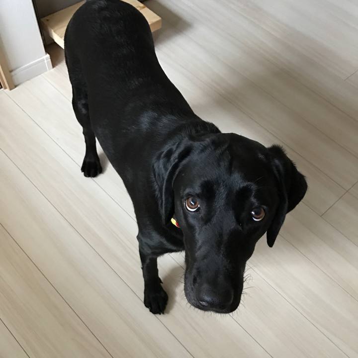 7f15af60 8c4f 4470 b168 ae9029e761ec