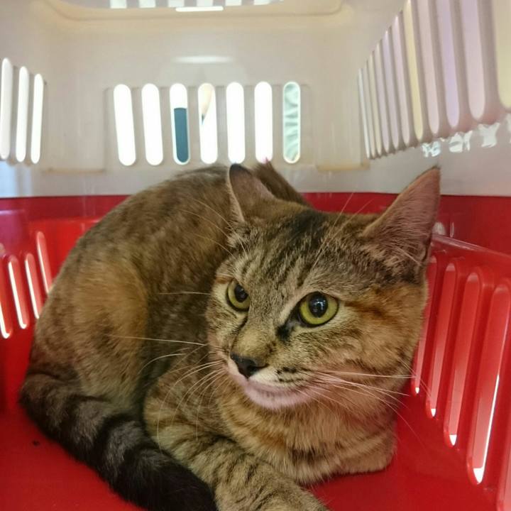 7f1644b7 9073 4f5f 8850 5f6448e938ad