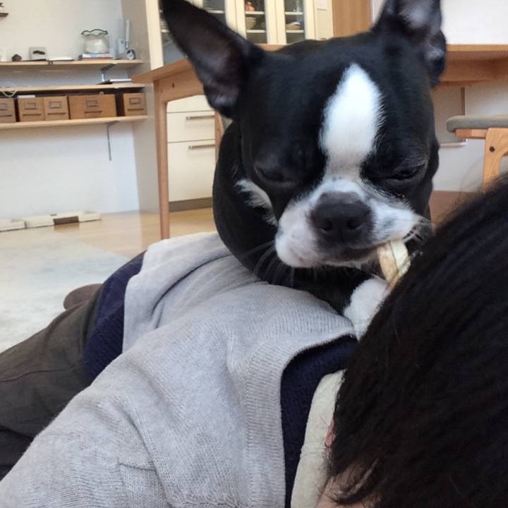 7f164539 a766 4156 a602 961364ac58db