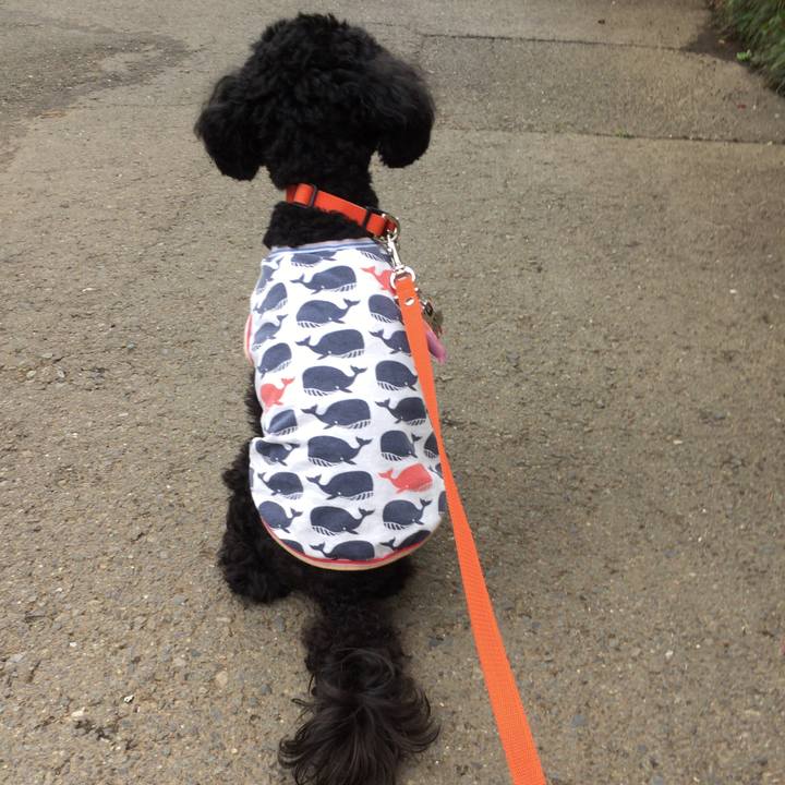 7f169a91 aa19 44c8 bb7a 4a9b9cebb78c