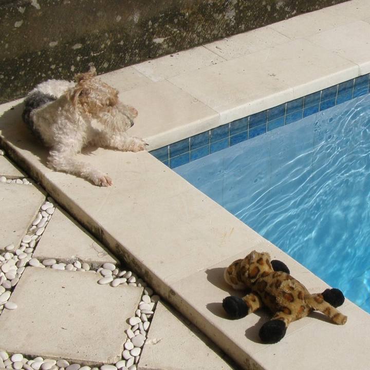 7f16bffc 9443 420e 845c 4c3d1df528e0