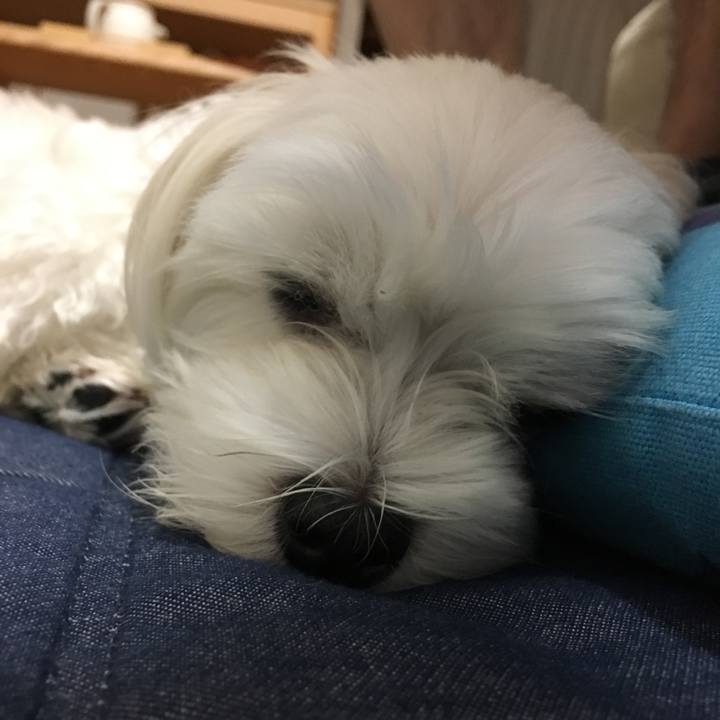 7f170924 dac1 49cd a50e aed77993c039