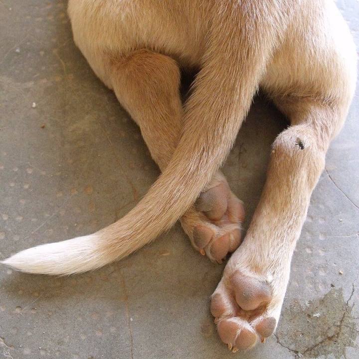 7f17375e 1203 4a64 94ee 28c21957569f