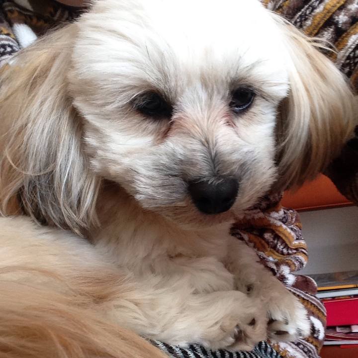 7f173c13 173f 4829 a09c 94c5ea92b9e1