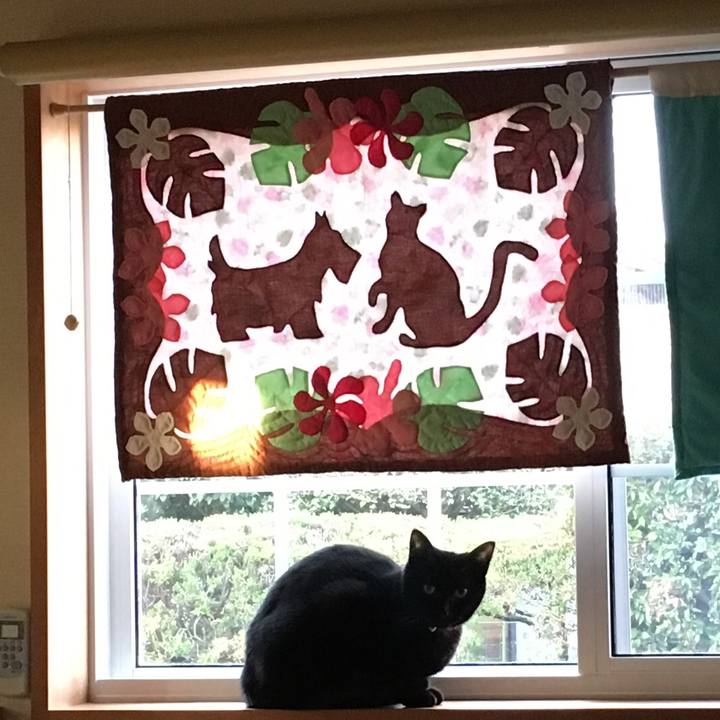 7f176268 9ae0 45ff 9ea7 581bb253c9ff