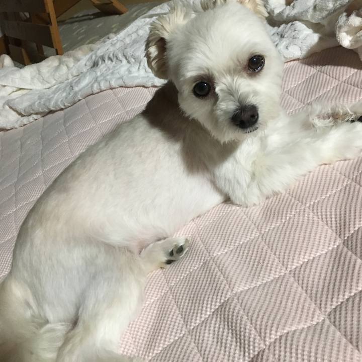 7f17925d e4d1 4917 bded 16f4c03555e3