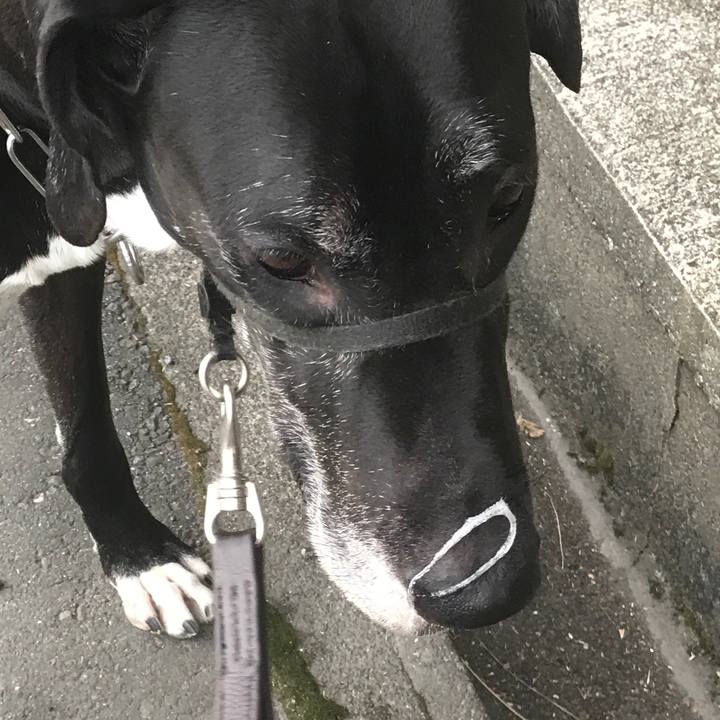 7f17a20e 2a7a 499a b22d 4d79c00a3eaf